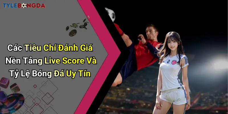 Các Tiêu Chí Đánh Giá Nền Tảng Live Score Và Tỷ Lệ Bóng Đá Uy Tín
