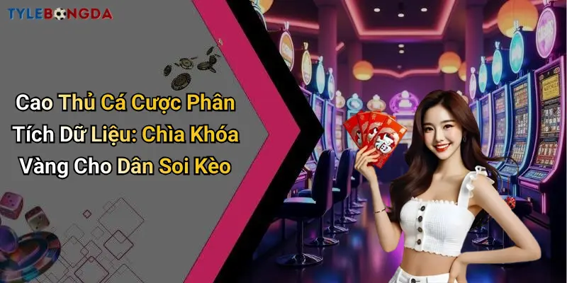 Cao Thủ Cá Cược Phân Tích Dữ Liệu: Chìa Khóa Vàng Cho Dân Soi Kèo