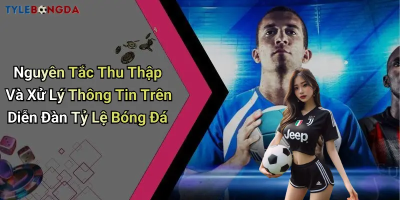 Nguyên Tắc Thu Thập Và Xử Lý Thông Tin Trên Diễn Đàn Tỷ Lệ Bóng Đá