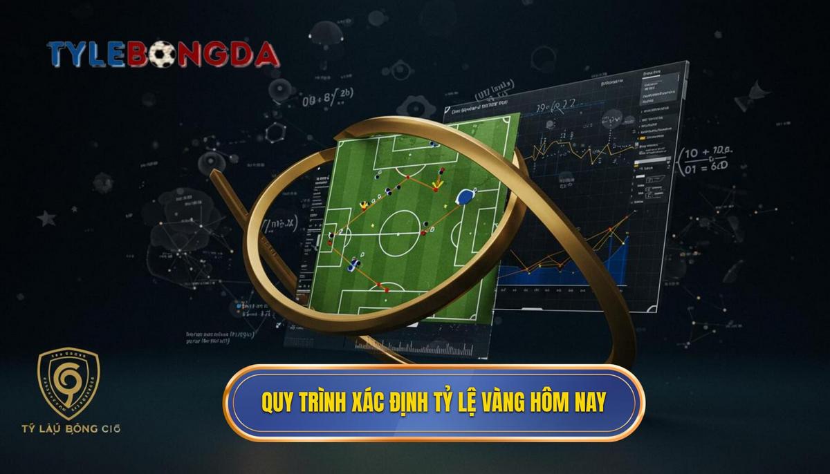 2. Quy trình xác định Tỷ lệ vàng bóng đá hôm nay chuyên nghiệp
