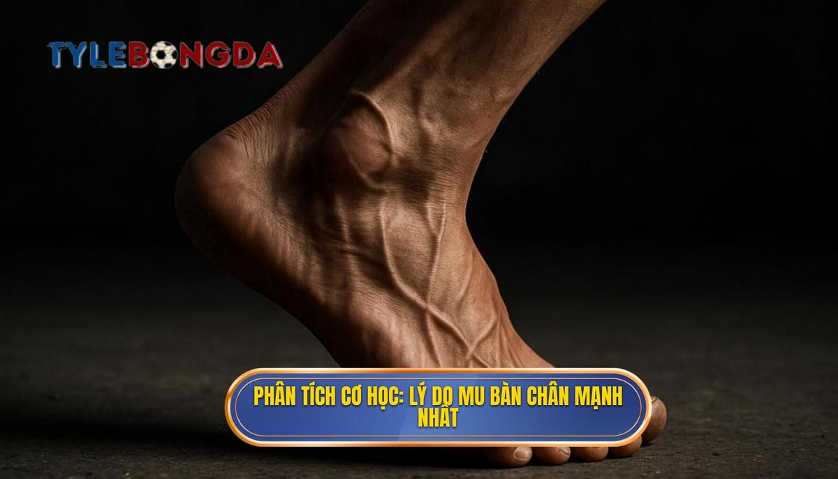 Phân Tích Cơ Học_ Tại Sao Mu Bàn Chân Lại Mạnh Nhất_