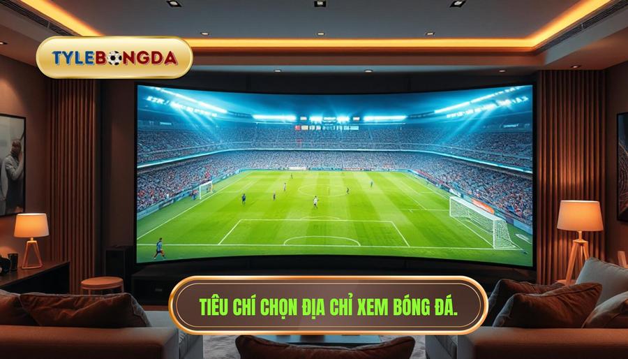 1. Tiêu chí chọn địa chỉ xem bóng đá.